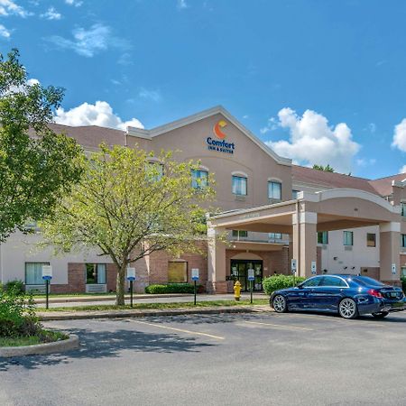 Comfort Inn & Suites St Louis-O'Fallon Exteriör bild